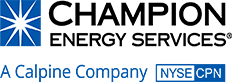 Champion Energy, Champion Energy plans, Champion Energy rates, Champion Energy reviews